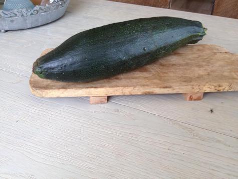 10636207_1493234160941109_5059310034016364999_n