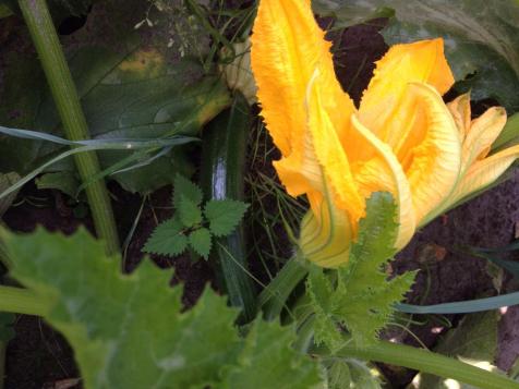 10685584_1493234180941107_1303822356576573430_n